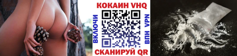 Кокаин FishScale  сколько стоит  Правдинск 
