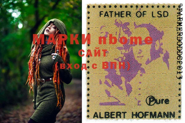 гидра Кодинск