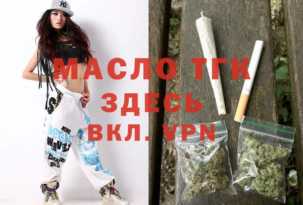 гидра Кодинск