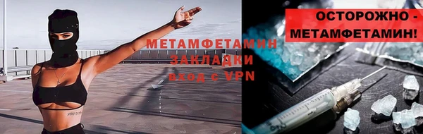 гидра Кодинск