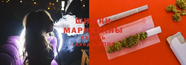 крисы Киренск
