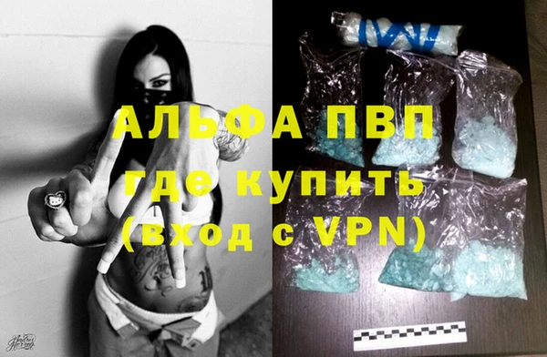 гидра Кодинск