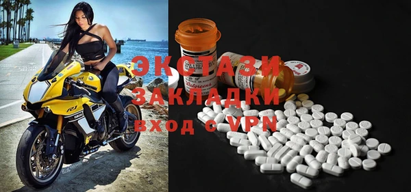 гидра Кодинск